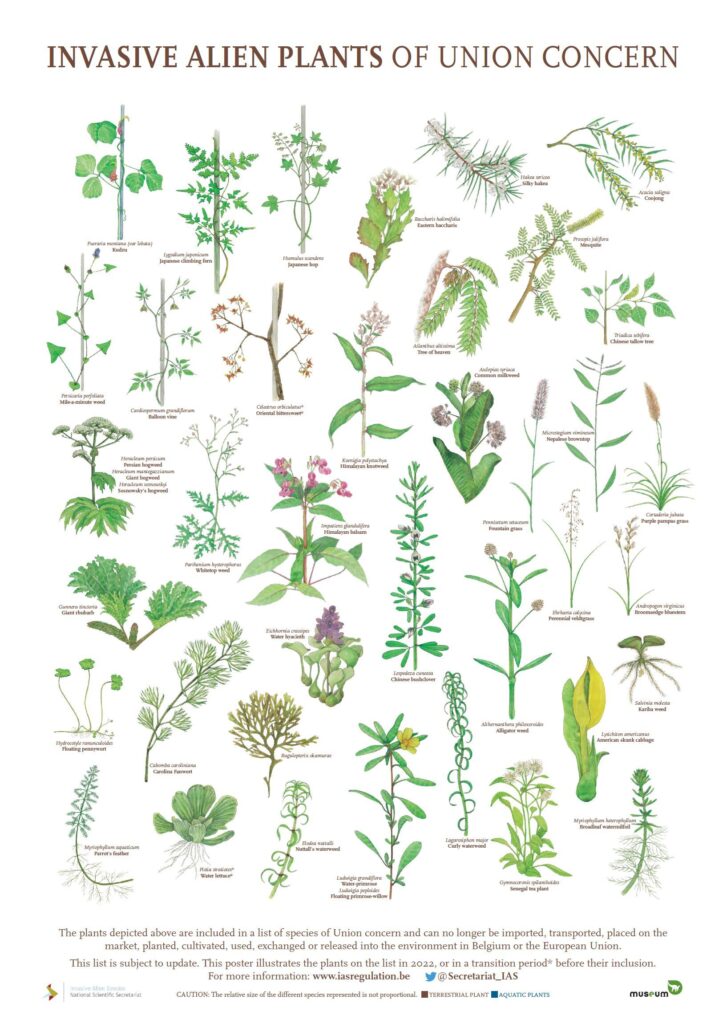 Resources – Invasive Species Northern Ireland